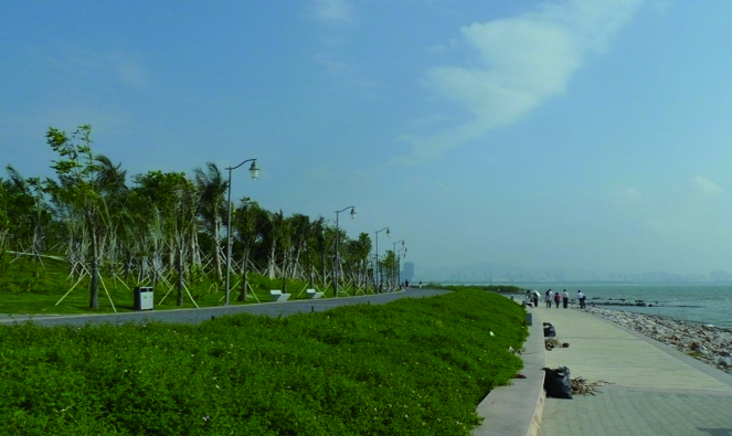 深圳湾公园.jpg